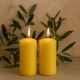 Žlutá parafínová svíčka 20 cm, 80 h hoření, sada 2 ks
