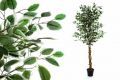 Umělá květina - fíkus - 150 cm