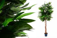 Umělá rostlina strom - mango - 160 cm