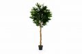 Umělá rostlina strom - mango - 180 cm