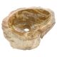 Kamenné umyvadlo Foresta, zkamenělé dřevo, ruční výroba