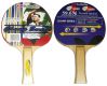 Pingpongová pálka na stolní tenis