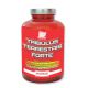 TRIBULUS TERESTRIS FORTE - 250 tablet