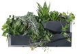 Květináč Prosperplast, sada 2 květináčů, antracit