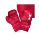 Boxovací set - pytel + boxovací rukavice
