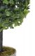 Umělá květina - Buxus - 23 cm, 2 barvy květináče