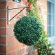 LED solární buxus