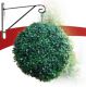 LED solární buxus