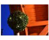 LED solární buxus