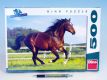 Puzzle Kůň ve výběhu 47x33cm 500 dílků v krabici 33x23x3,5cm