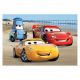 Puzzle Cars/Auta na pláži 24 dílků 26x18 cm v krabici 27x19x3,5cm