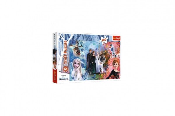 Puzzle Ledové království II/Frozen II 160 dílků