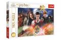 Puzzle Tajemství Harry Potter 300dílků 60x40cm v krabici 40x27x4cm