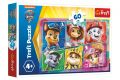 Puzzle Přátelé připraveni k akci Tlapková patrola/Paw patrol 33x22cm 60 dílků v krabičce 21x14x4cm