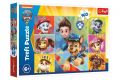 Puzzle Setkání Tlapková patrola/Paw patrol 160 dílků 41x27,5cm v krabici 29x19x4cm