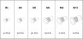 Sada ocelových nýtovacích matic M3-M10 150 ks
