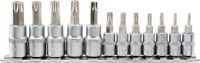Bity Torx sada 12 ks (CrV 6150)