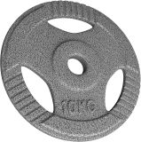 Physionics Litinový kotouč, 10 kg, 31 mm