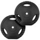ScSPORTS kotouče 2x10 kg s úchyty, cementová výplň, 30/31 mm