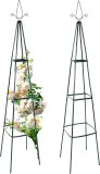 Kovová opora pro popínavé rostliny 195 cm, sada 2 ks