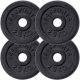 SCSports Sada litinových kotoučů, 4 x 2,5 kg
