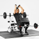 Gorilla Sports Sada posilovací lavice + nakládací set, bílá