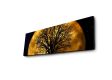 Dekorativní svítící obraz MOON, 30 x 90 cm