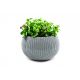 COZIES KNIT květináč - M