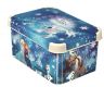 DECOBOX - S - FROZEN